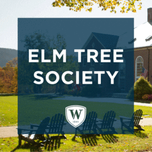 elmtree