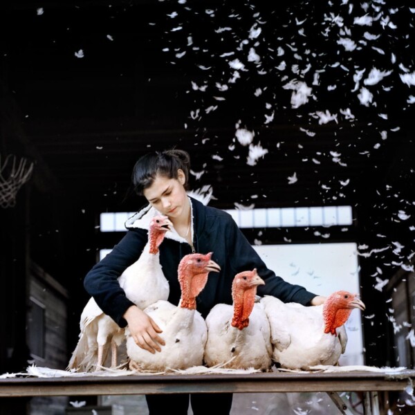 holly-lynton-photography-turkey-madonna holly-lynton-photography-turkey-madonna