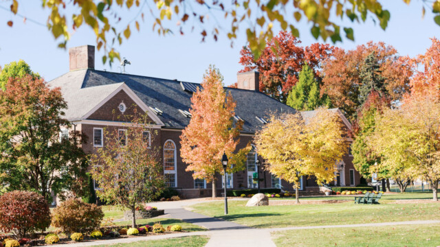 lawn and building with autumn leaves