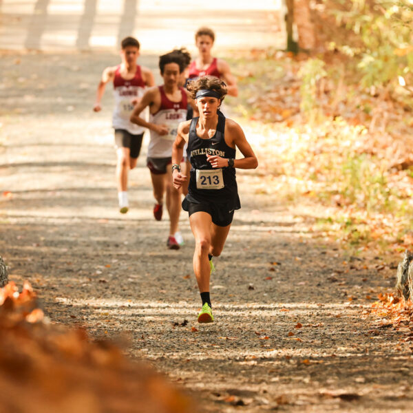 runners on cross country trail