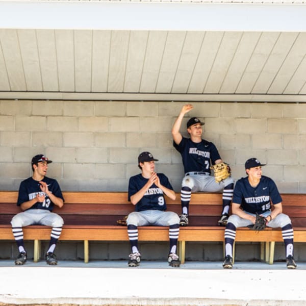 williston-dugouts-baseball-600