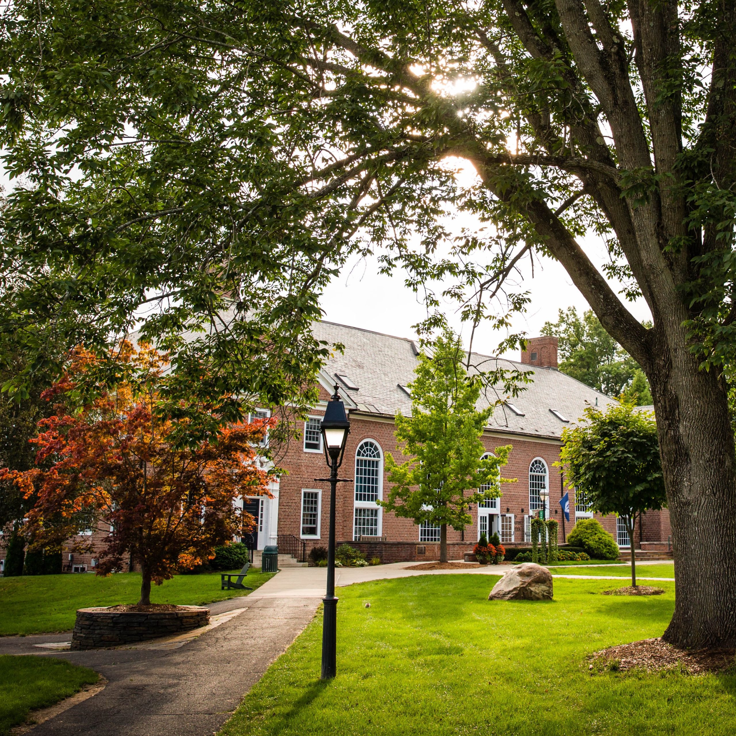 WNS2018_FALL_ACTV-254 Tree and streetlight in front of path to brick building